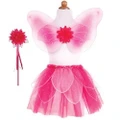 Fairies & Gnomes