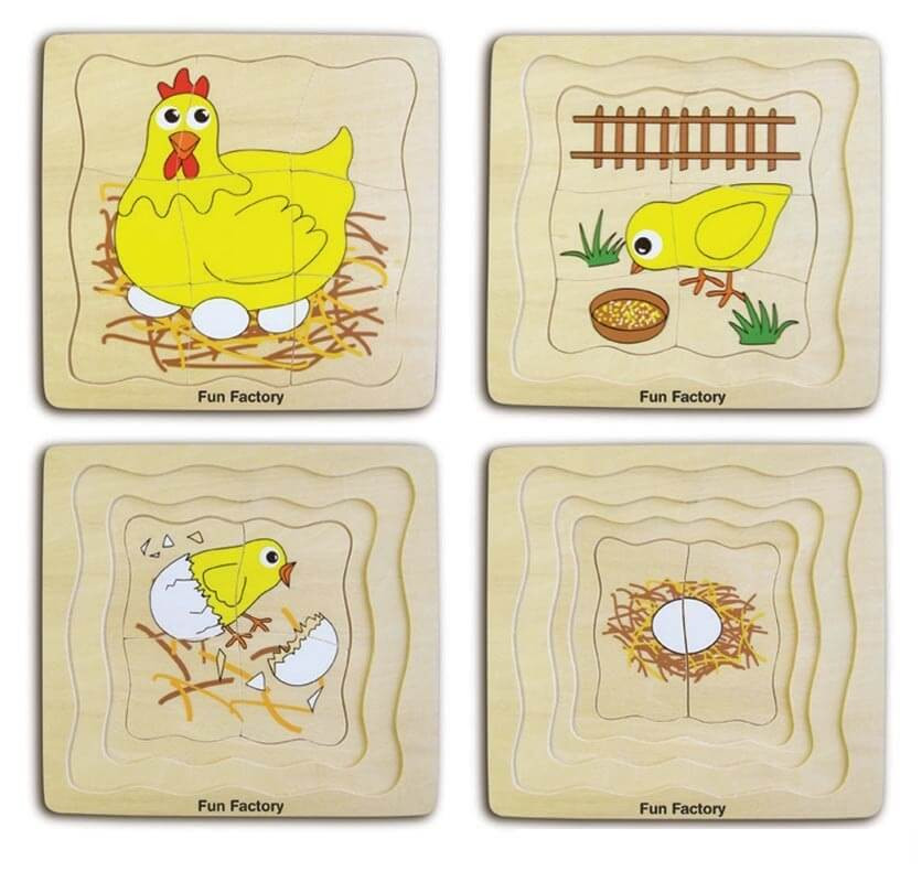 Chicken Life Cycle Model & Puzzle Set main image 1