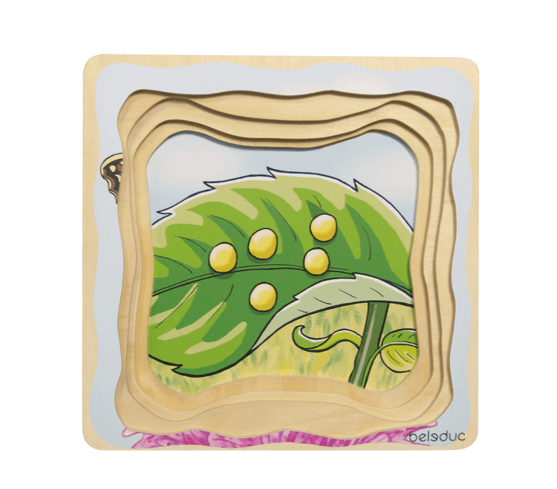Beleduc Multilayer Puzzle Life Cycle Butterfly on Sale!