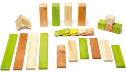 Tegu Magnetic Wooden Block - 24 Piece Jungle Set