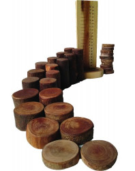 Qtoys Natural Tree Blocks Maths & Counting Set