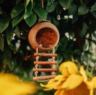 hanging eco friendly bird house made from coconuts