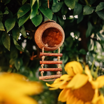 hanging eco friendly bird house made from coconuts