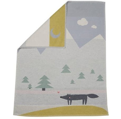 fox baby blanket