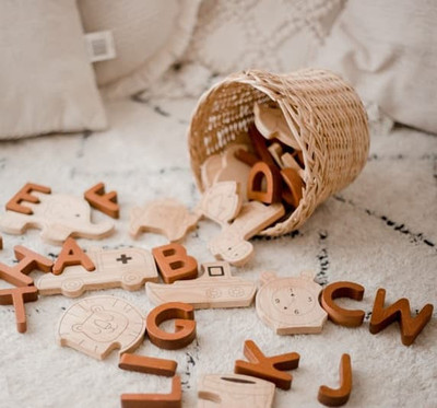 qtoys alphabet and animal blocks
