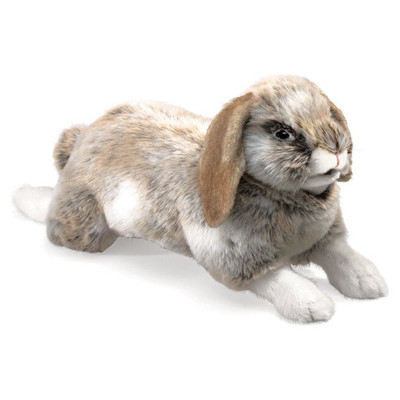 Folkmanis Holland Lop Rabbit Puppet