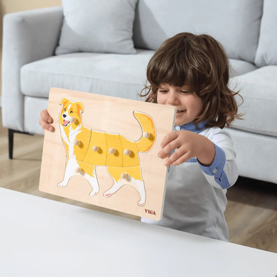 viga montessori peg puzzles