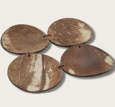 Qtoys Coconut Painting Palette 