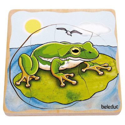 Beleduc Multilayer Puzzle - Life Courses - Frog - image 6