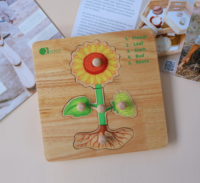 Qtoys Montessori Parts of a Plant Puzzle