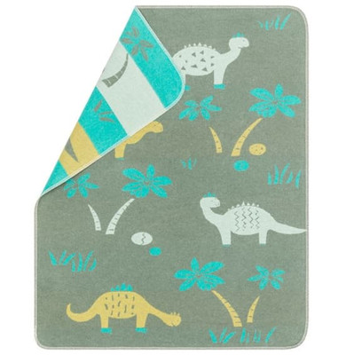 dinosaur baby blanket