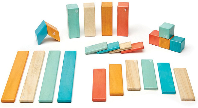 tegu block set