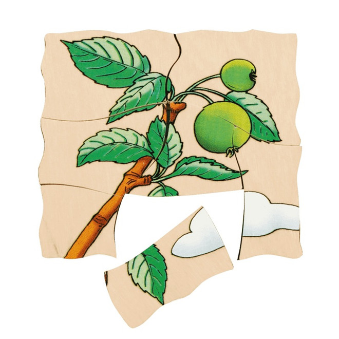 2-product-main_image