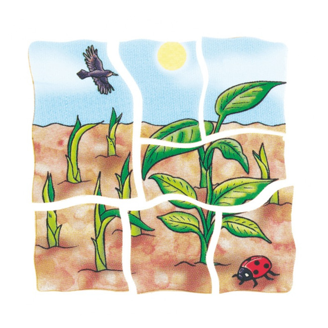 2-product-main_image