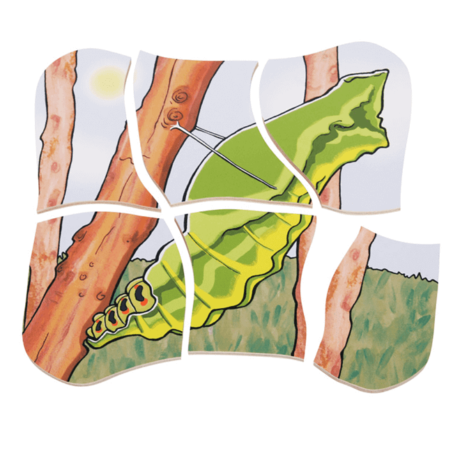 2-product-main_image