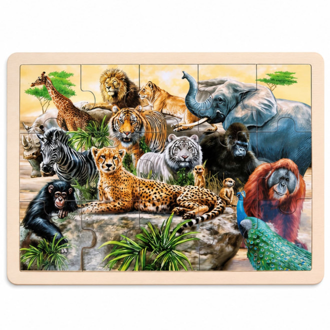 -product-main_image