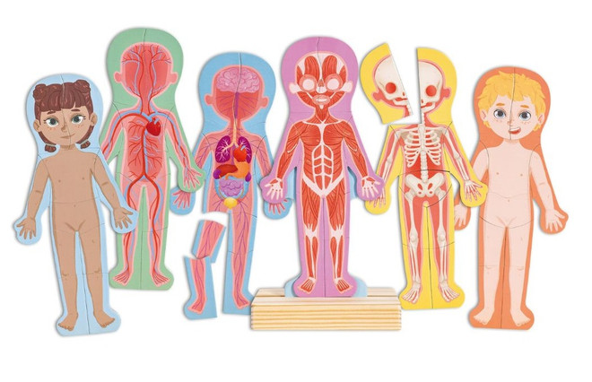 6-product-main_image