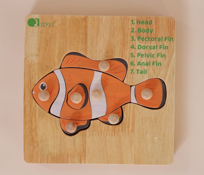 2-product-main_image