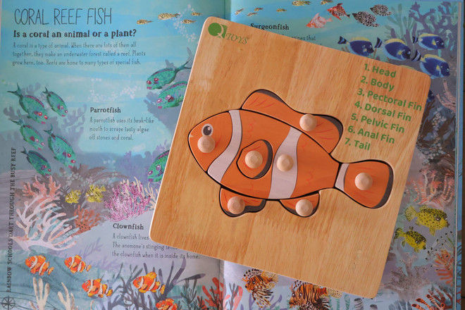 2-product-main_image