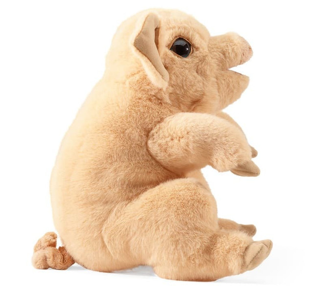 1-product-main_image 1-product-main_image