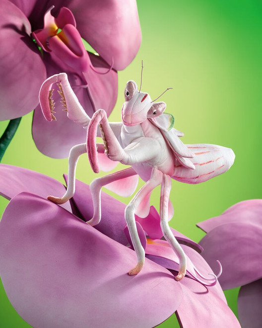 2-product-main_image