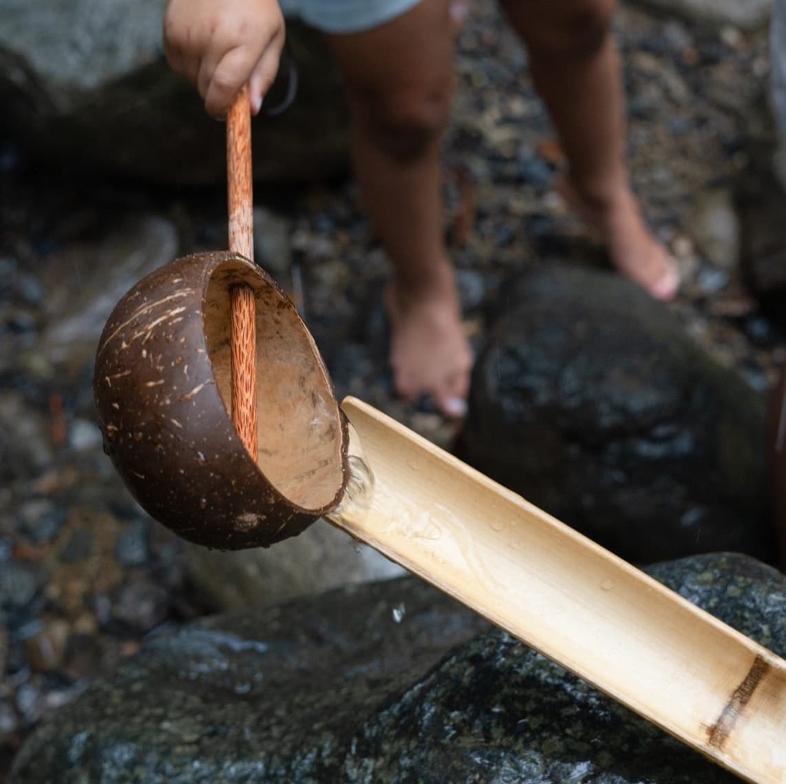 coconut water scoop for kids nature play