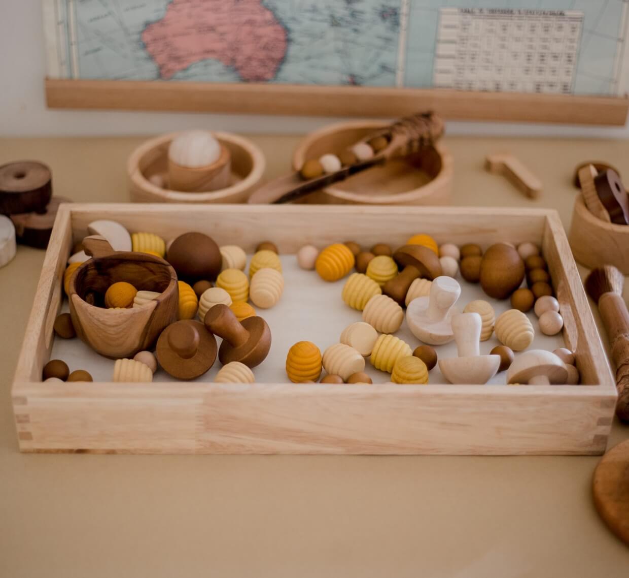 Qtoys Montessori Sorting Tray