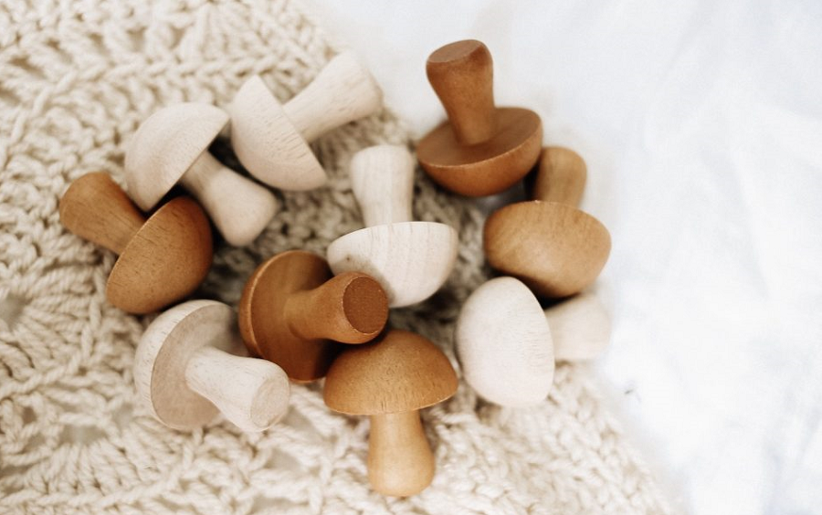 Mushroom set of 10 Mushroom set of 10