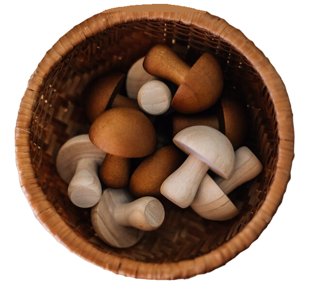 qtoys mini wooden mushrooms loose parts play sorting activities qtoys mini wooden mushrooms loose parts play sorting activities