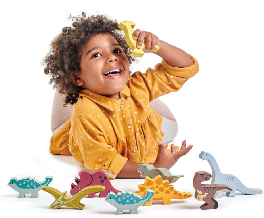 1 Piece Dinosaur CDU Set 1 Piece Dinosaur CDU Set