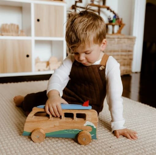 qtoys surfing van