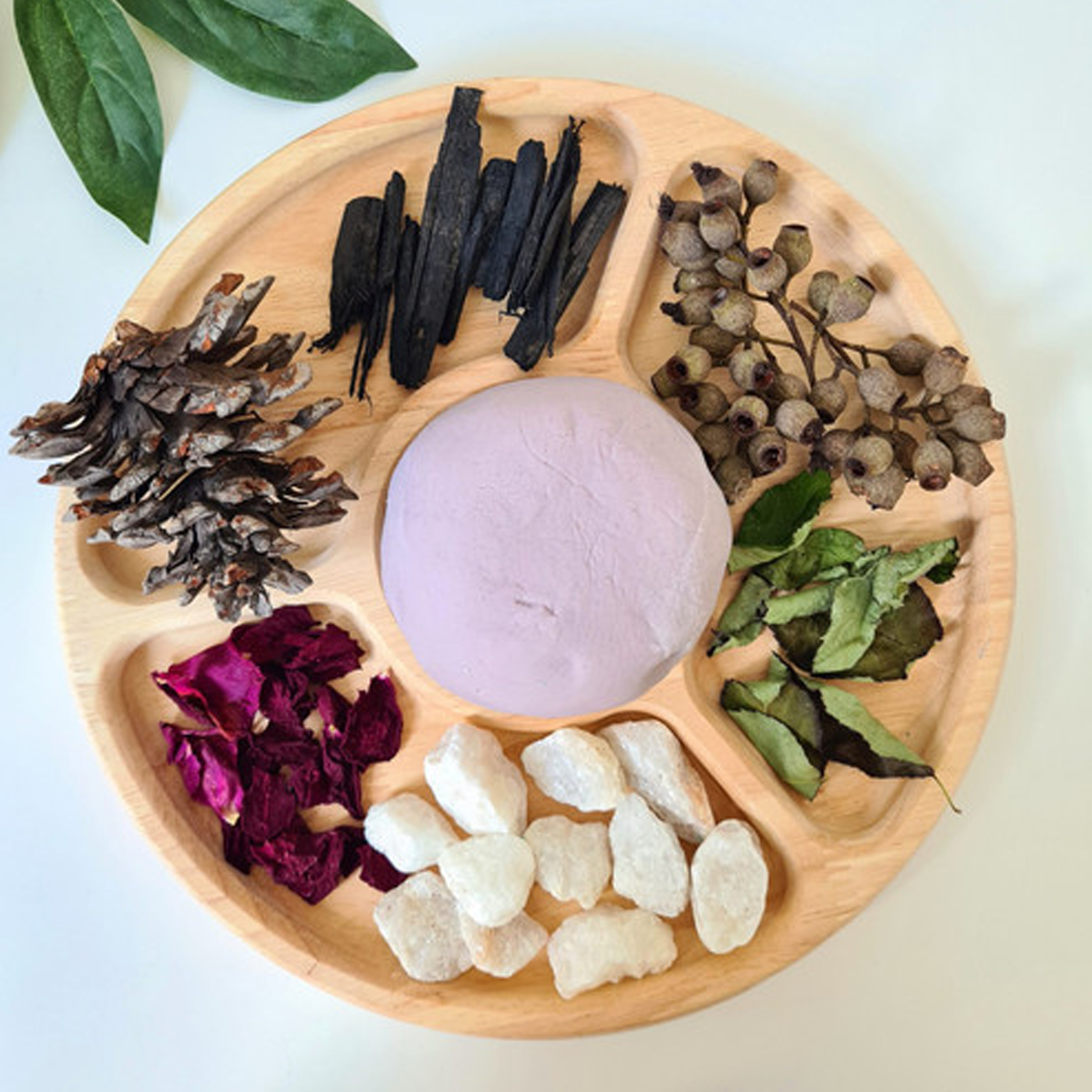 Qtoys Round Divided Feeding Tray