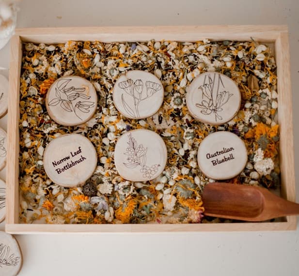 qtoys australian plant learning discs