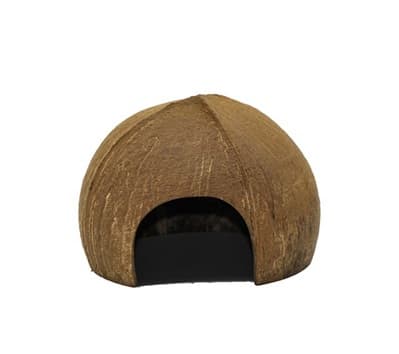 Coconut Play House