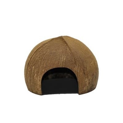 Coconut Play House