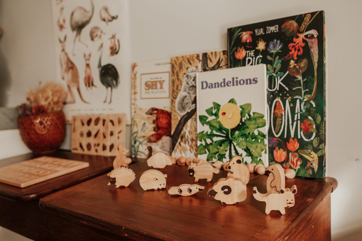 Australian Natural Wooden Animal Set Of 10