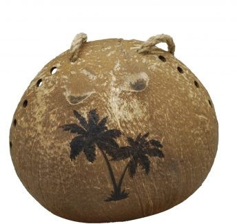 Coconut Bird Feeder