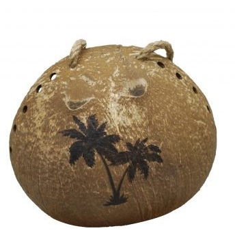 Coconut Bird Feeder