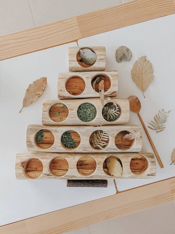 Qtoys Log Counting and Sorting Trays Set of 5