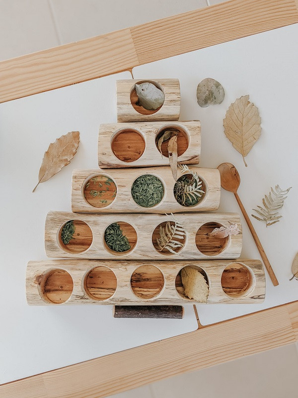 Qtoys Log Counting and Sorting Trays Set of 5