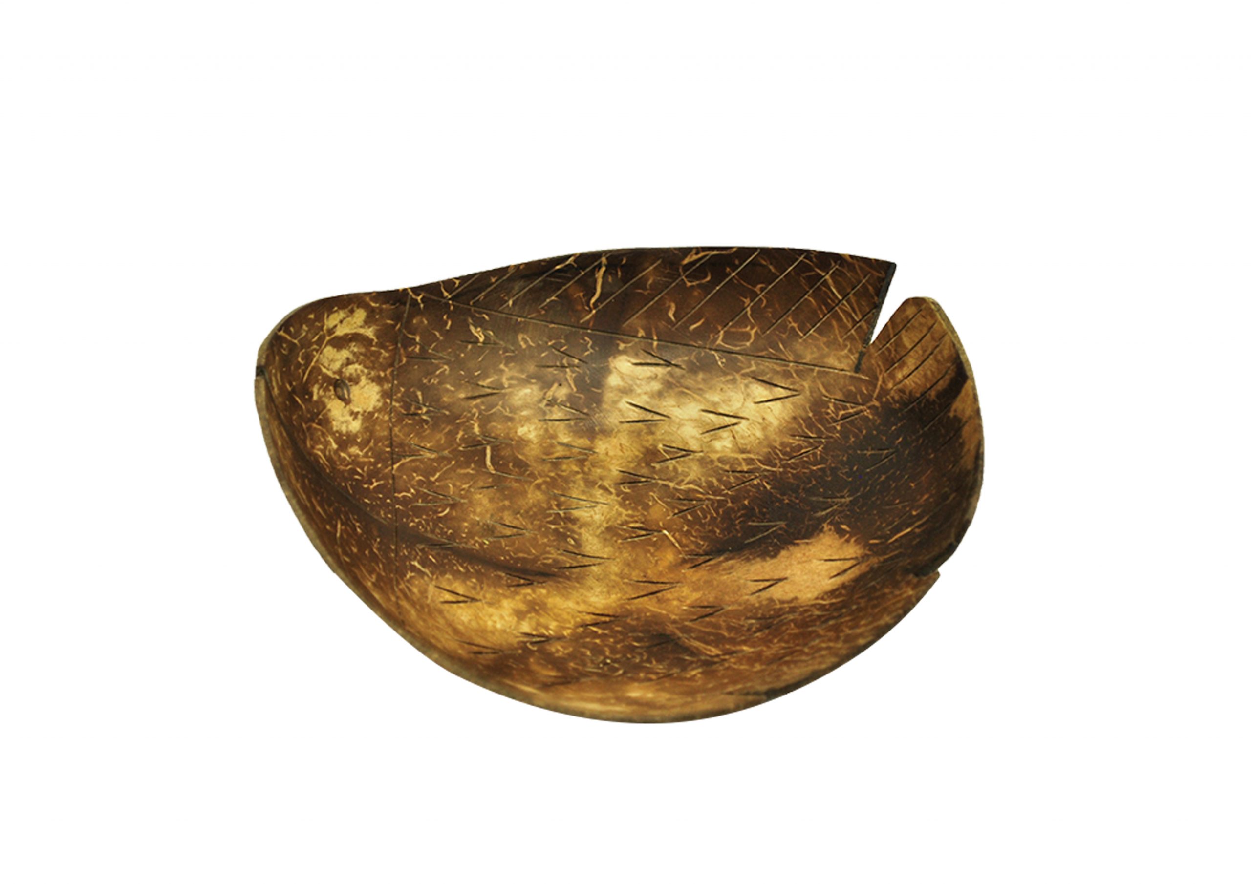 Qtoys Coconut Fish tray Qtoys Coconut Fish tray