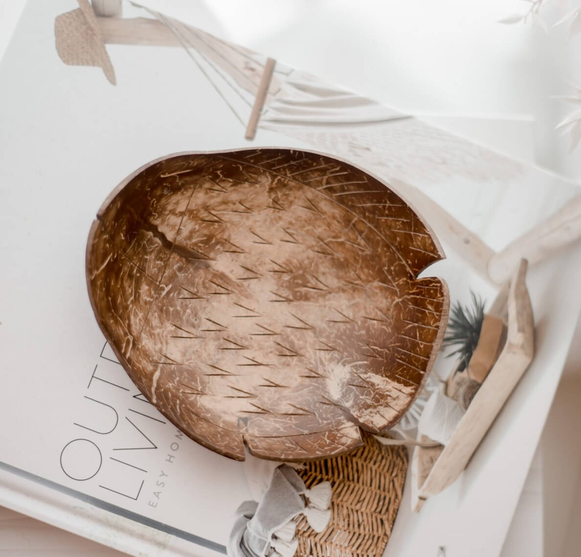 Qtoys Coconut Fish tray centrepiece