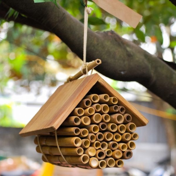 Qtoys Hanging Bee House