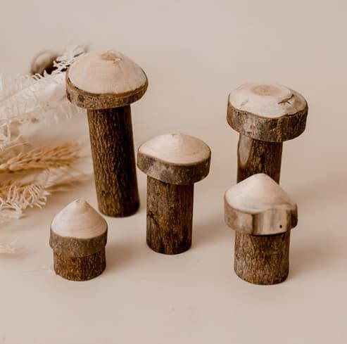 Qtoys Tree Mushroom Set