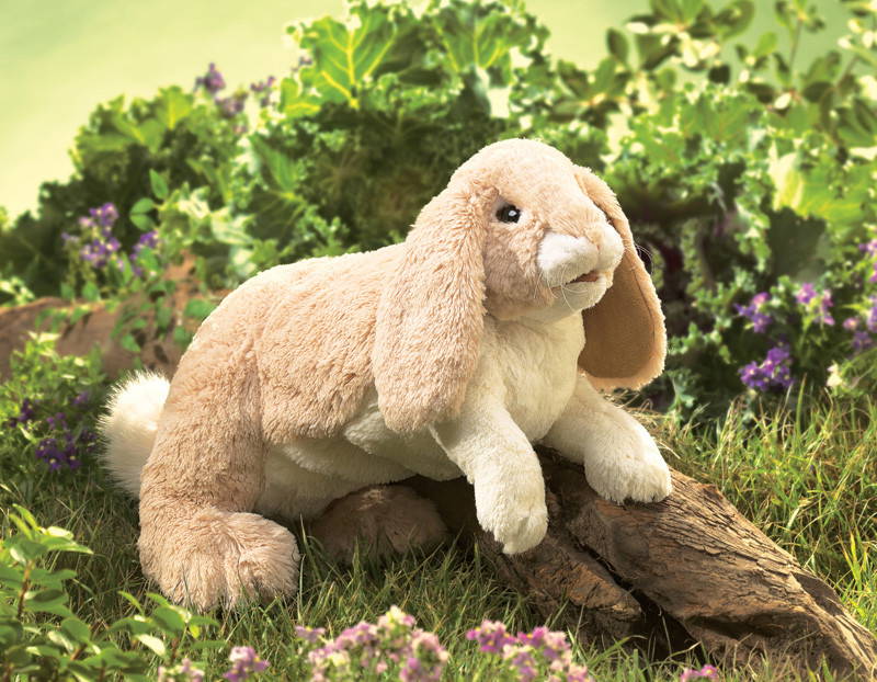 Floppy Bunny Rabbit In Nature Background