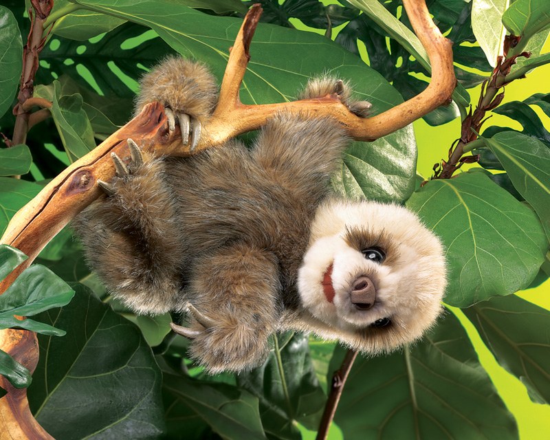 Folkmanis Baby Sloth Puppet - image 3
