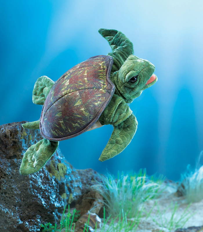 Sea Turtle Hand In Nature Background