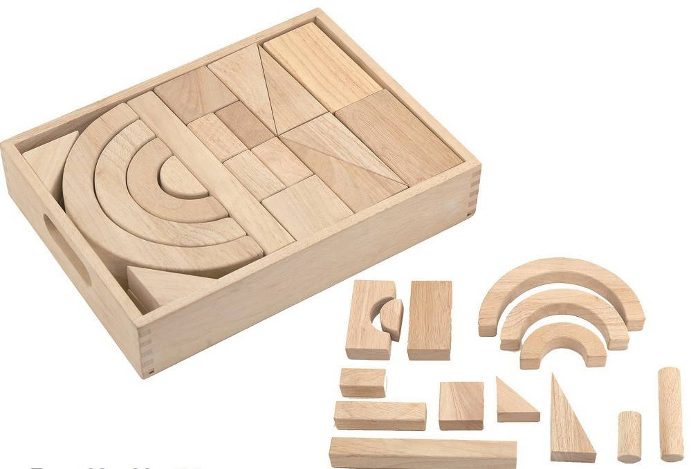 Viga Blocks in tray - 42pc with some pieces laid out