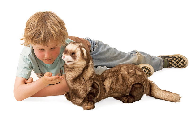 Ferret Hand Puppet telling stories