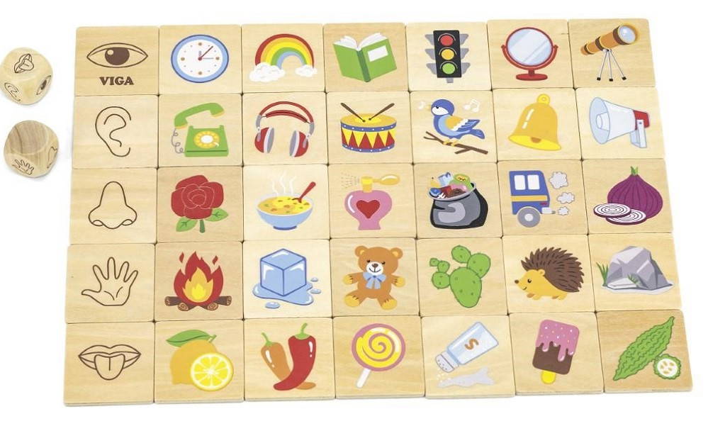 Viga Learning Senses Puzzle Set